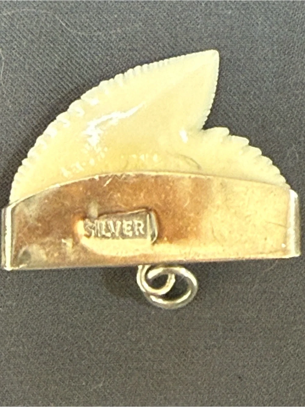 Vintage Silver Capped Shark Tooth Pendant Charm - Hallmarked